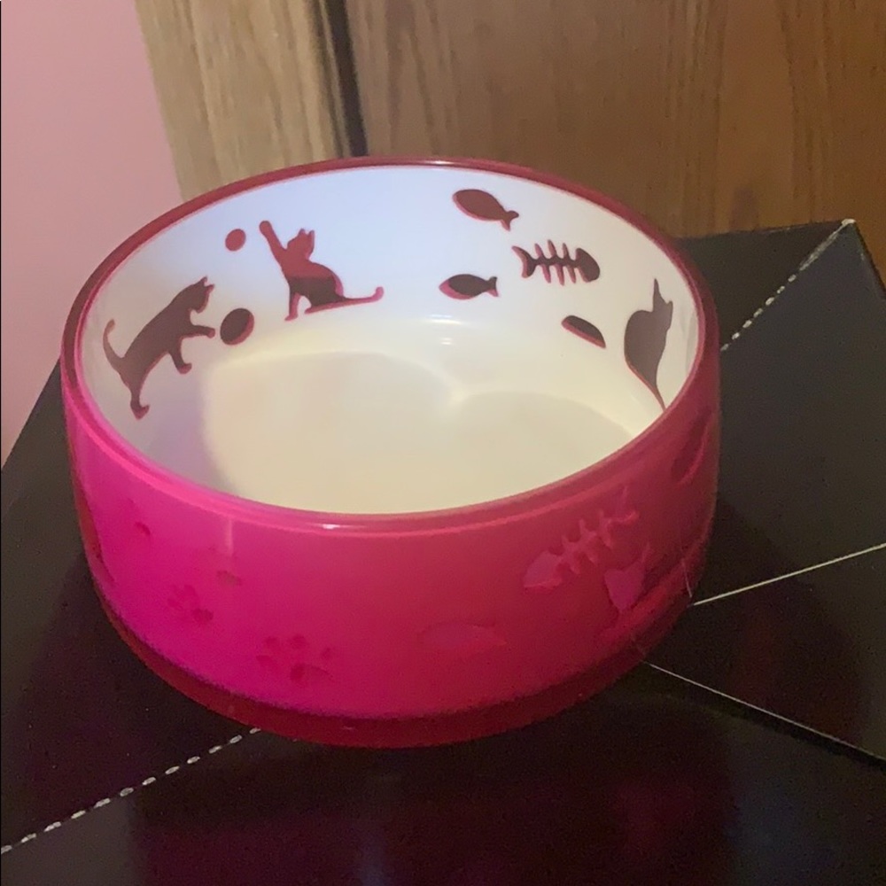 Acrylic cat bowl